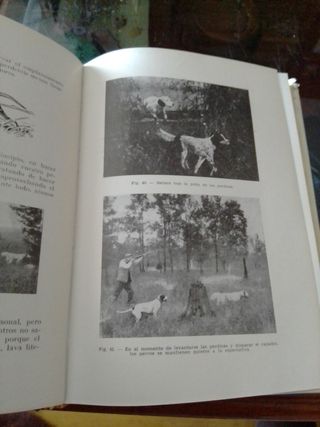 LIBRO CAZA LA PERDIZ Y CAZAS PLUMA