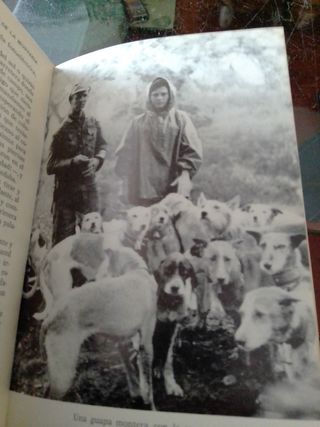 LIBRO CAZA PRÁCTICA DE LA MONTERIA BENJUMEA