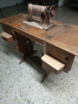 Alocasia macrorrhiza