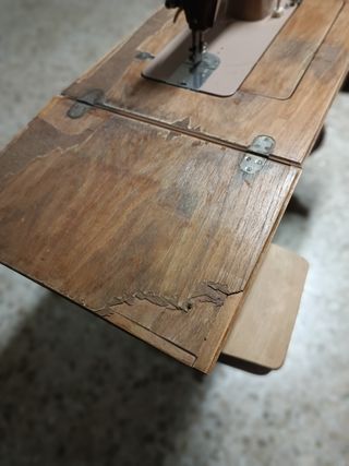 Alocasia macrorrhiza