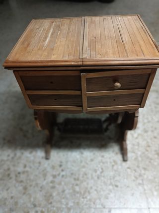 Alocasia macrorrhiza