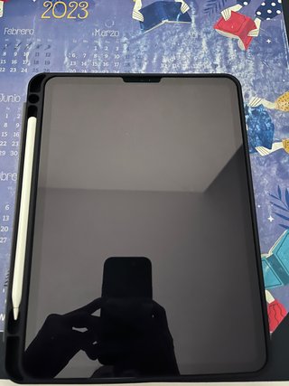 Ipad PRO 11 256 GB +wifi+cellular