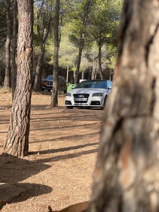 Audi A3 2010