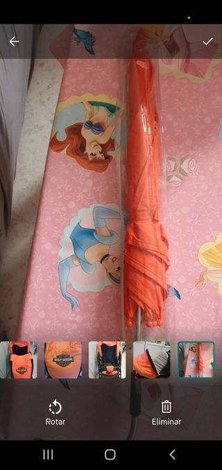 Carro Harley + Capazo + Grupo 0