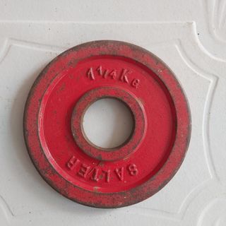 Discos SALTER diversos pesos