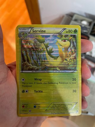 cartas pokemon