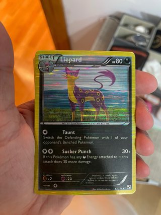 cartas pokemon