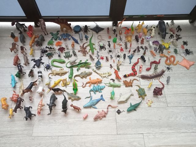 CONJUNTO ANIMALES DUROS Y BLANDOS