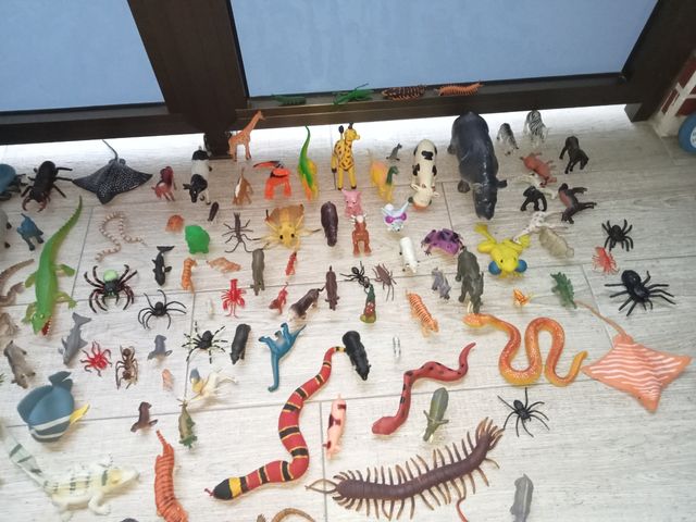 CONJUNTO ANIMALES DUROS Y BLANDOS