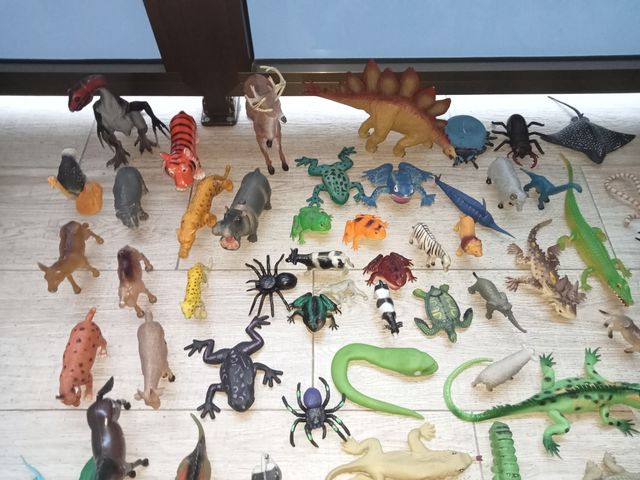 CONJUNTO ANIMALES DUROS Y BLANDOS