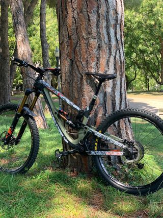 Bici Enduro Saracen Ariel