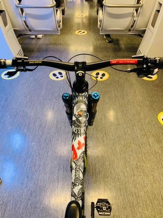 Bici Enduro Saracen Ariel