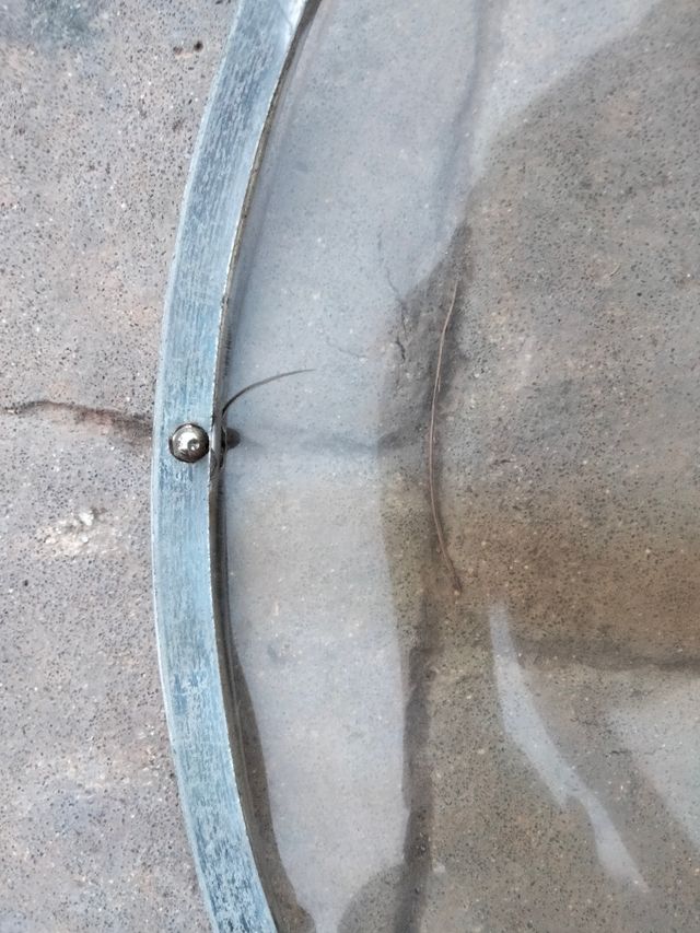 Parabrisas Vespa bocolo Ardor