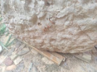 Pila agua antigua de piedra