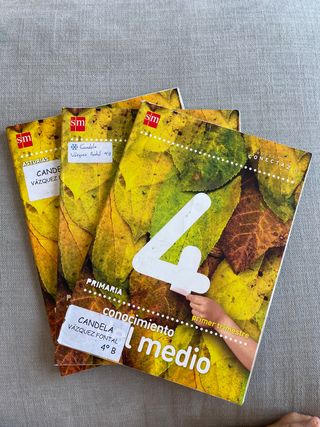 conocimiento del medio 4 primaria sm