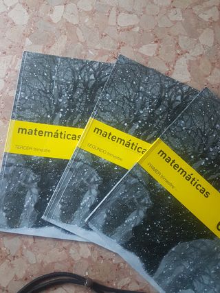 Libros de Matematicas 6