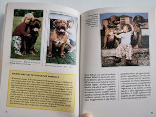 Libro storia della razza del Dogue de Bordeaux