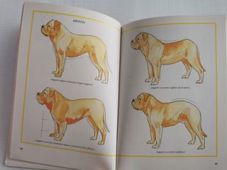 Libro storia della razza del Dogue de Bordeaux