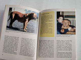 Libro storia della razza del Dogue de Bordeaux