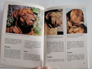 Libro storia della razza del Dogue de Bordeaux