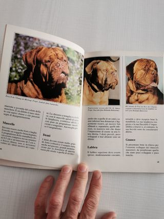 Libro storia della razza del Dogue de Bordeaux