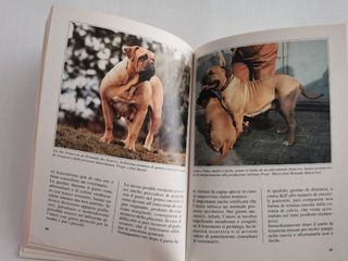 Libro storia della razza del Dogue de Bordeaux