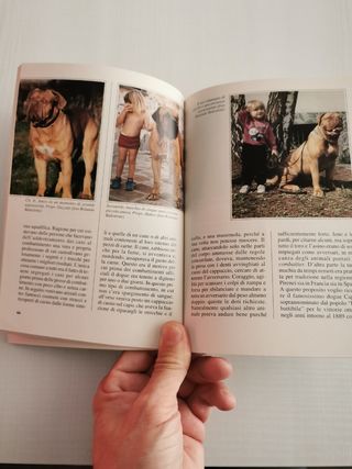 Libro storia della razza del Dogue de Bordeaux