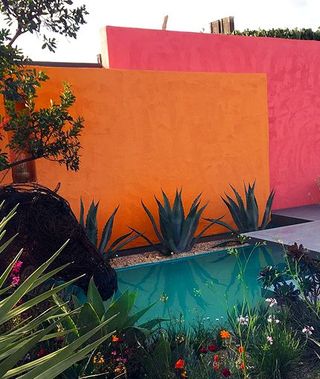 PINTOR  ECONOMICO PROFESIONAL  MALAGA DECORACION