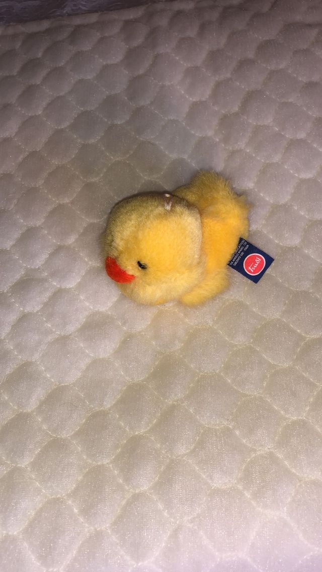 Piccolo peluche Trudi paperetta