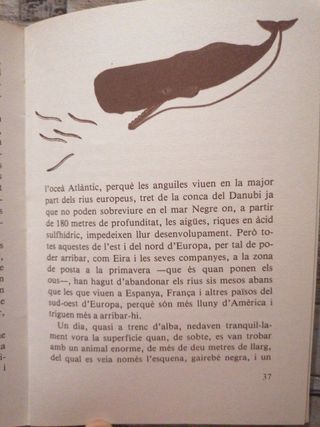 Libro: Set contes de peixos