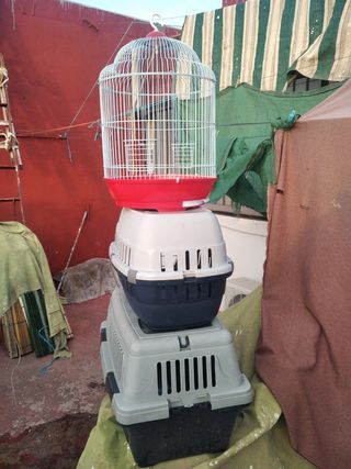Transportin y jaula periquito o loro
