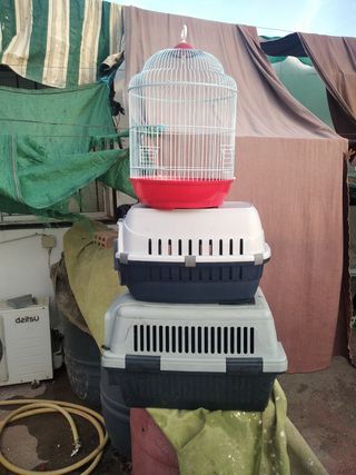 Transportin y jaula periquito o loro