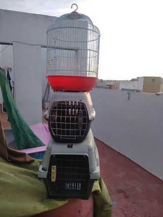 Transportin y jaula periquito o loro