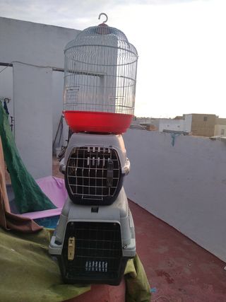 Transportin y jaula periquito o loro