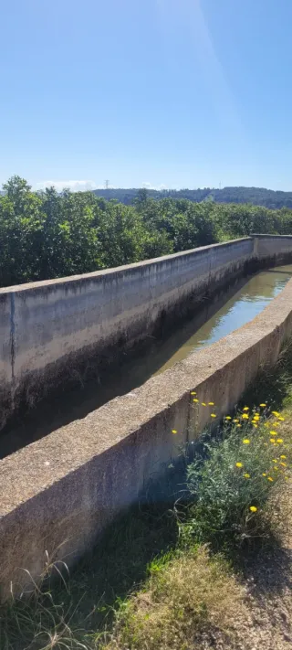 VENTA PARCELA NARANJOS EN RIBERA DEL JUCAR