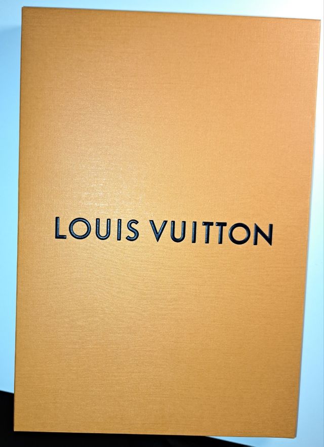 Caja Louis Vuitton