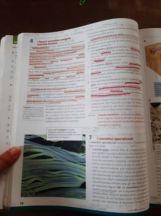 La nuova biologia.blu-Genetica, DNA c.u.