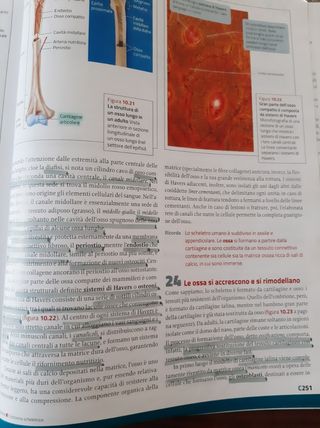 La nuova biologia.blu-Genetica, DNA c.u.