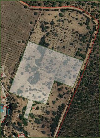 Ref. 22007 TERRENO EN DEHESA BOYAL