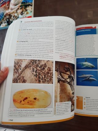 La nuova biologia.blu-le cellule e i viv