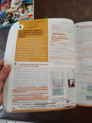 La nuova biologia.blu-le cellule e i viv