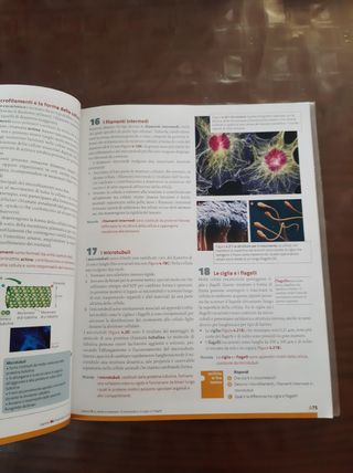 La nuova biologia.blu-le cellule e i viv