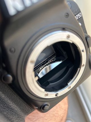 Nikon d750