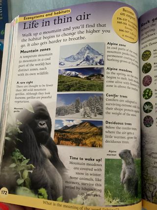 First Children’s Encyclopedia