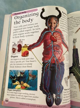 First Children’s Encyclopedia