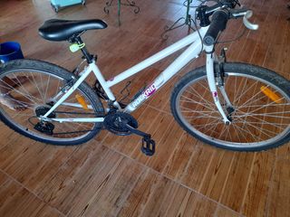 Bicicleta de montaña