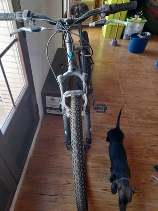 Bicicleta de montaña