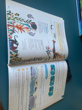 Libros Lengua 4º Primaria SM