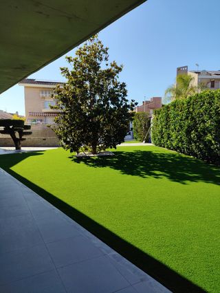 Jardinero con 10 años de experiencia