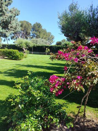 Jardinero con 10 años de experiencia